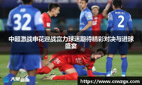 中超激战申花迎战富力球迷期待精彩对决与进球盛宴